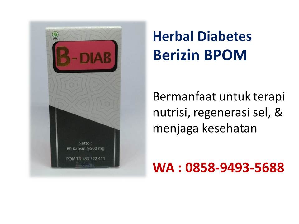 WA 0858-9493-5688 tumbuhan herbal untuk penyakit diabetes 