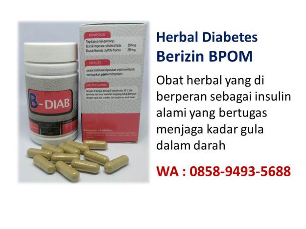 WA 0858-9493-5688 tumbuhan herbal untuk penyakit diabetes 